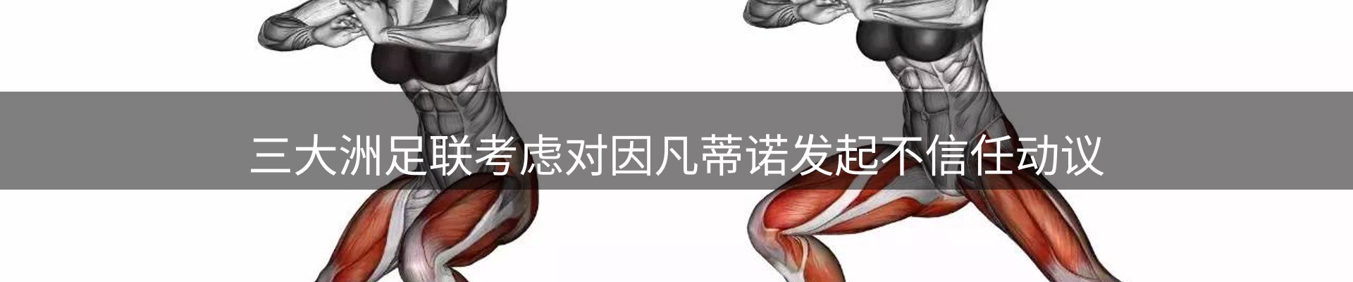 网站资讯
