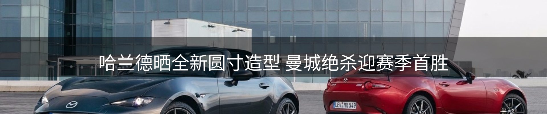 网站资讯