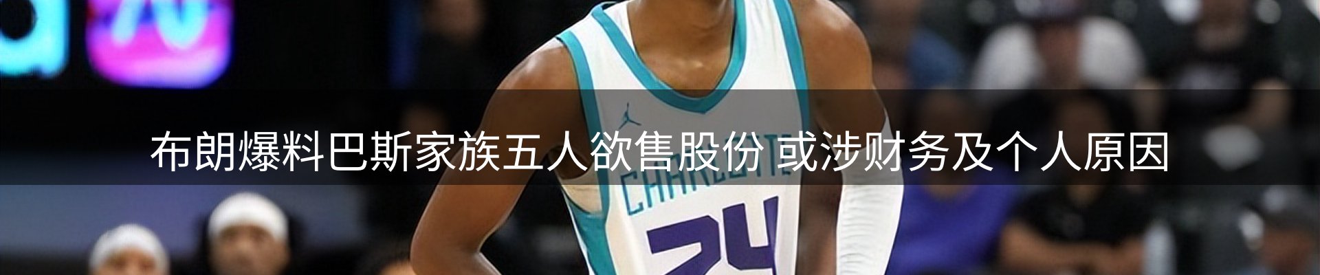 网站资讯