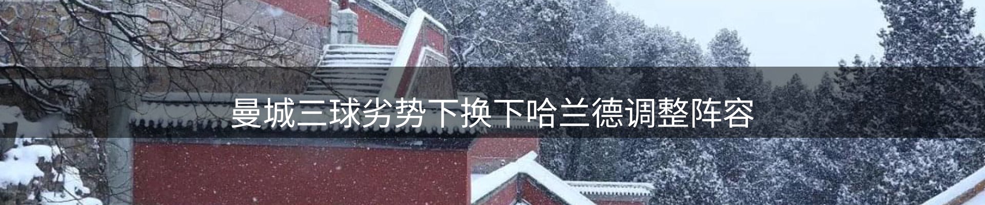 网站资讯