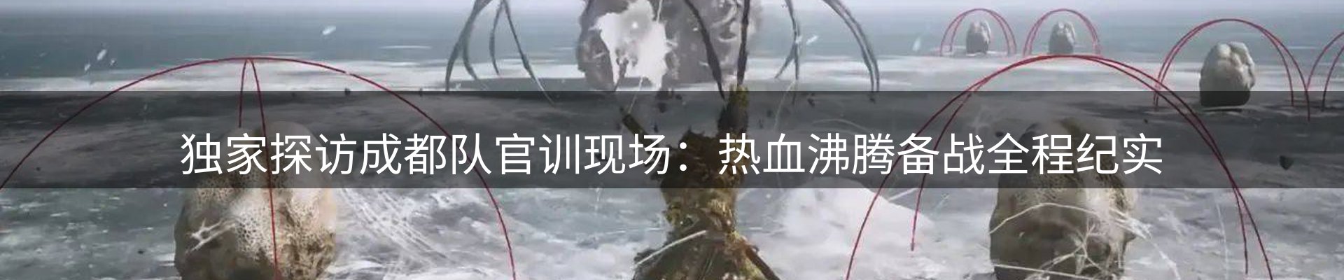 网站资讯