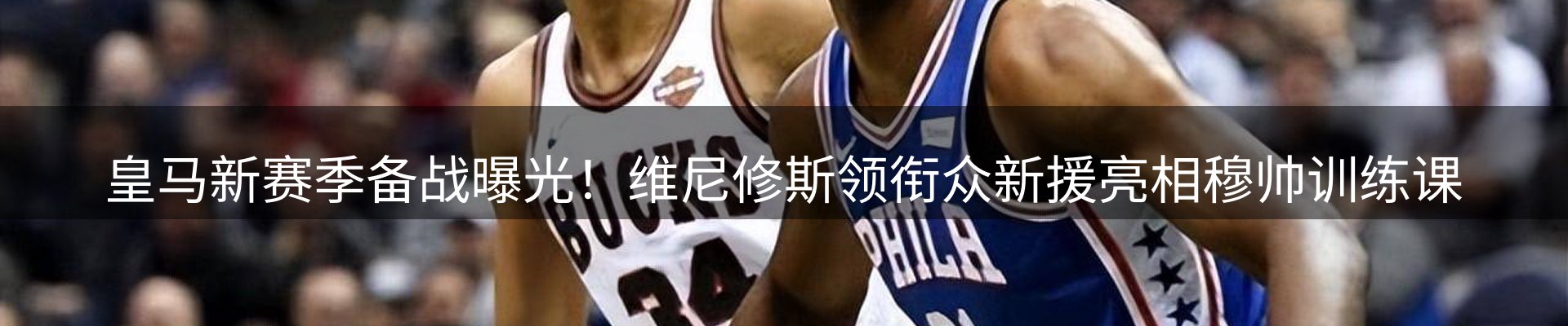 网站资讯