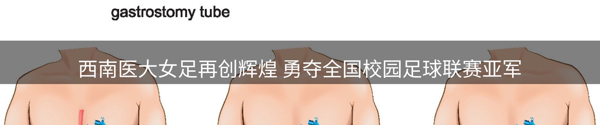 网站资讯