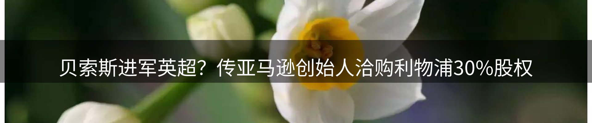 网站资讯