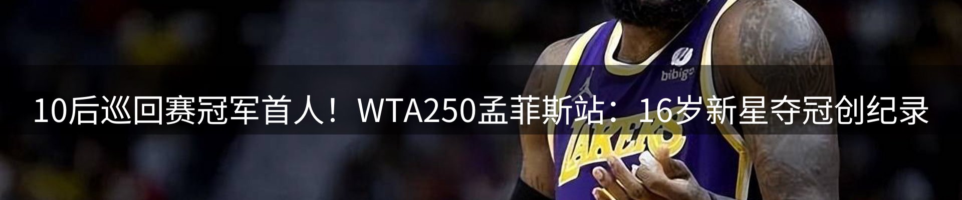 网站资讯
