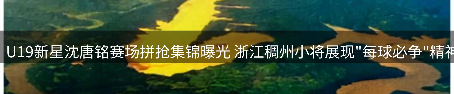 网站资讯